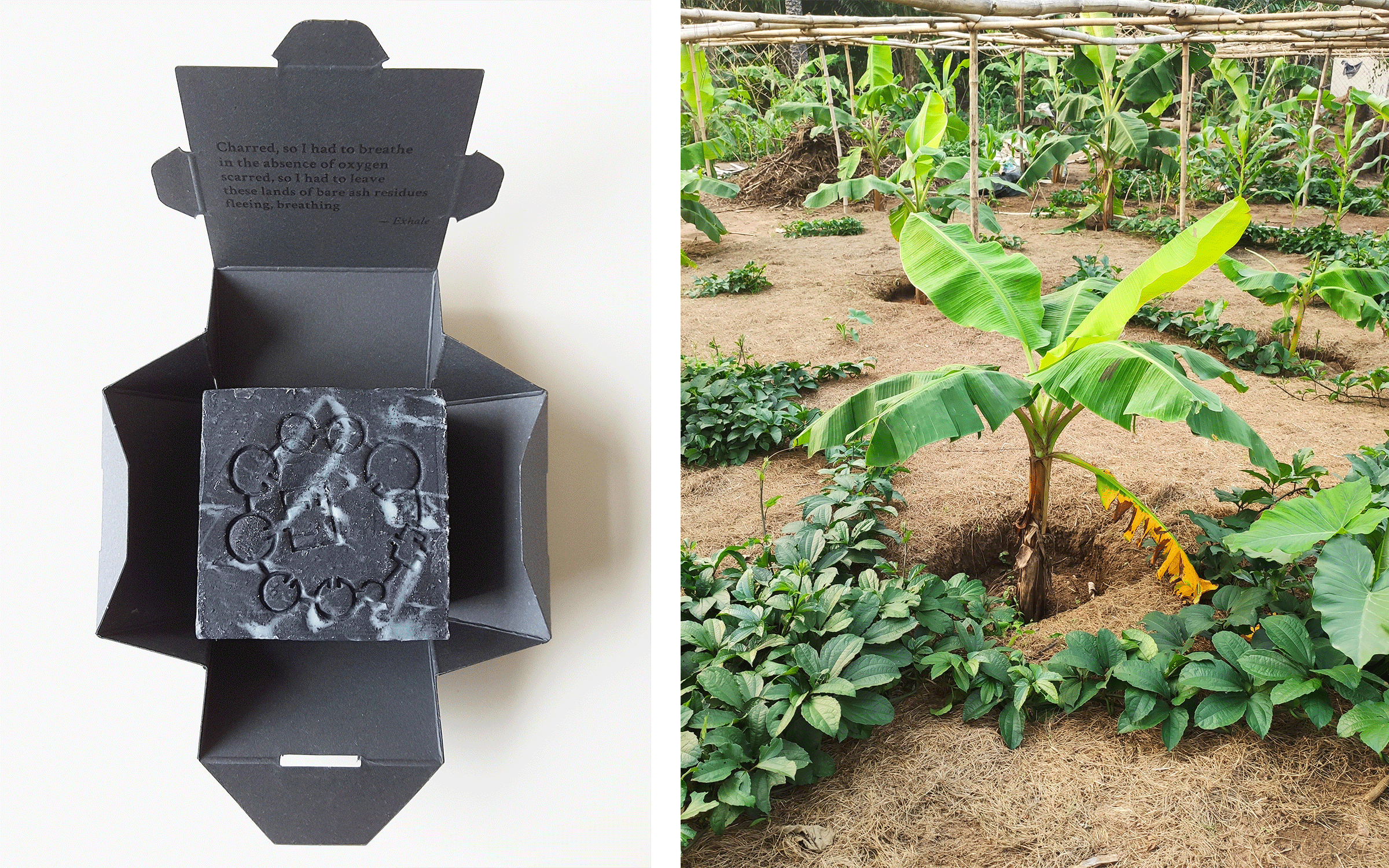  Left: Otobong Nkanga, O8 Black Stone, 2017. Courtesy of the artist. Right: Carved to Flow Foundation land in Uyo, Akwa Ibom State, Nigeria. Courtesy of the artist. 