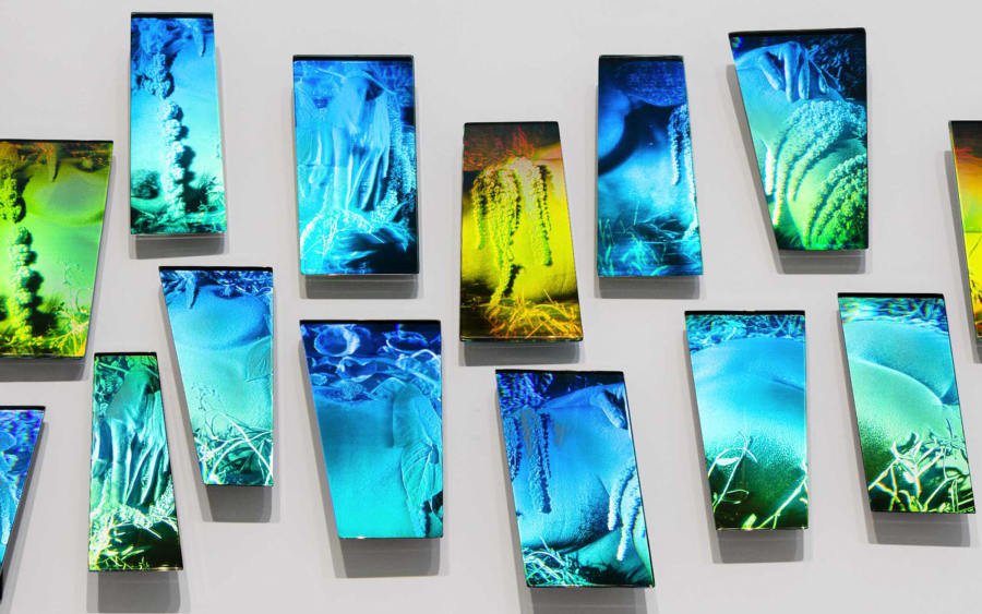 How I became an artist: Sarah Meyohas